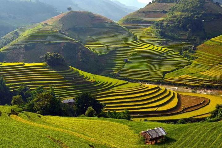 Từ 