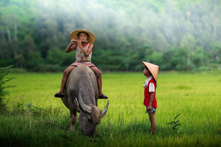 Pháo: “Nếu có thể khiến ai đó - Cảm hứng video marketing từ Hotspot Matrix