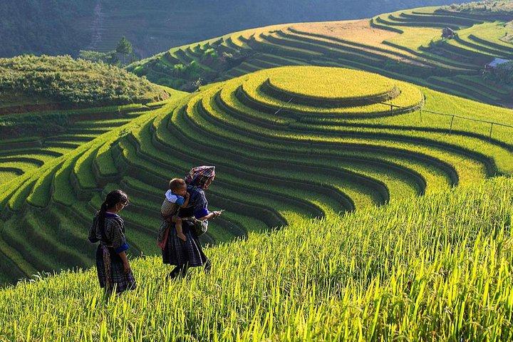 1. Tiêu đề: [Hotspot Matrix] Những cú trở ngại trở thành 