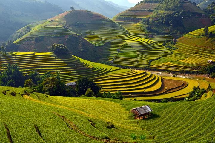 Từ 