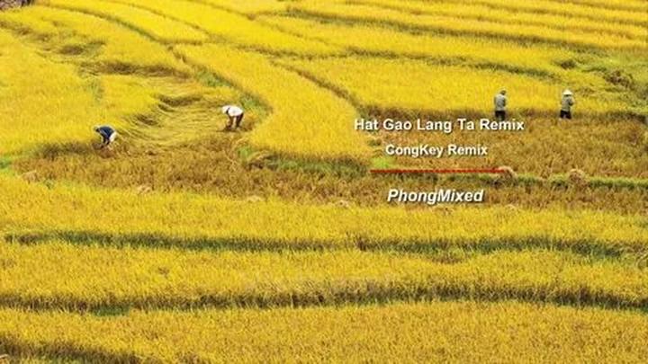 Tiêu đề: [Hotspot Matrix] Xu hướng mỹ phẩm và nội dung video: Hannah Olala, một phụ