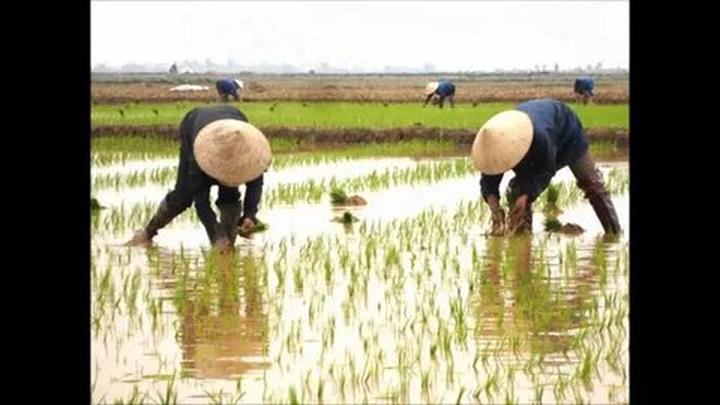 Xu hướng Phụ huynh “bắt trend”: Chọn: Hotspot Matrix tiết lộ bí quyết video viral