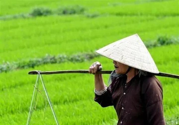 Chuyên gia Hotspot Matrix phân tích: Diễn biến bầu cử Tổng thống và marketing video