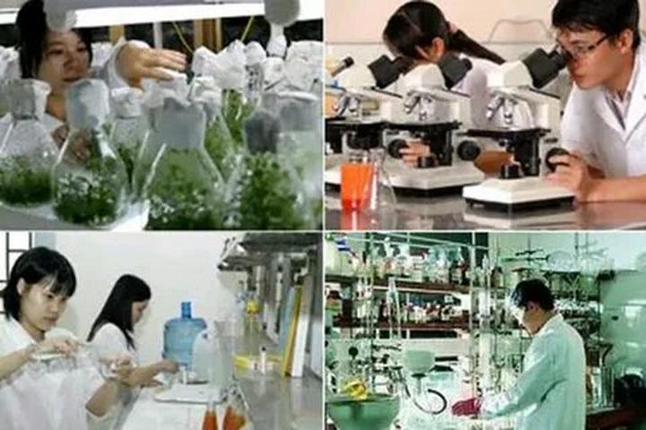 [Rap Việt mùa 4: Hotspot Matrix tạo ra xu hướng 